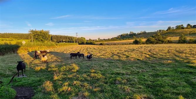 Kilnagross, Carrick On Shannon, Leitrim
