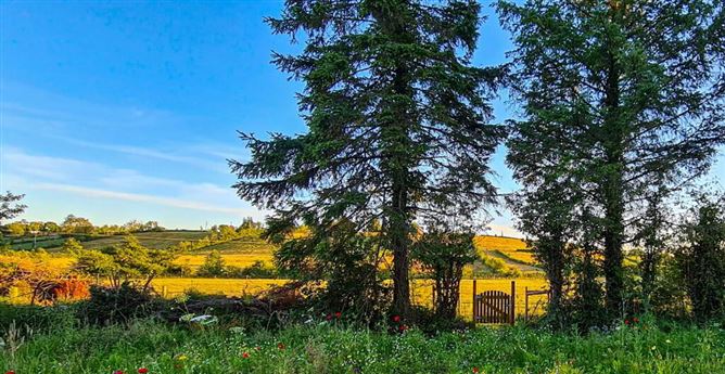 Kilnagross, Carrick On Shannon, Leitrim