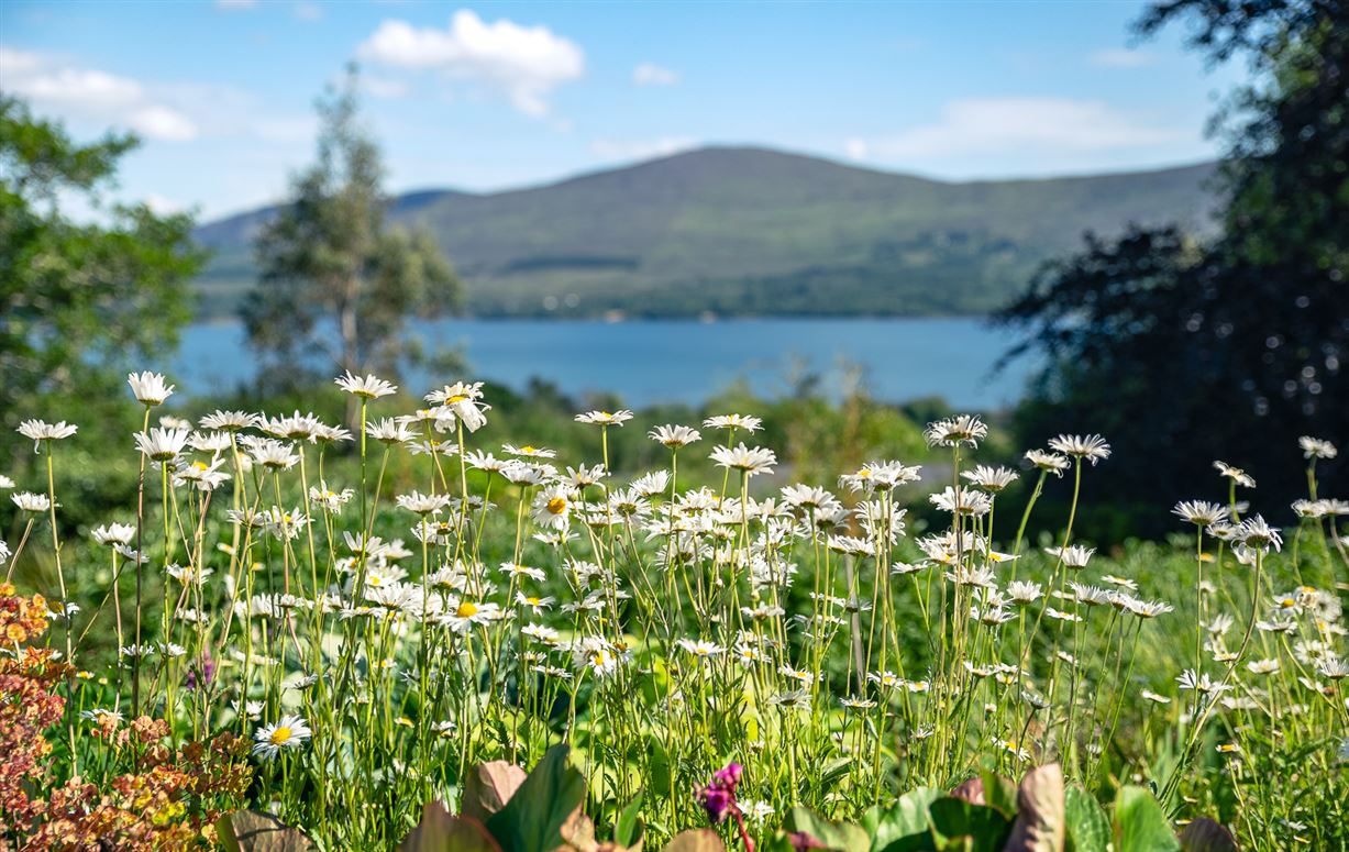 Cappanacush East, Greenane, Kenmare, Co. Kerry Cappanacush East, Greenane, Kenmare, Co. Kerry