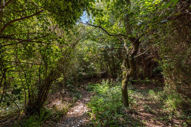 Ladhru, 49a Ardamine Court, Ardamine, Co. Wexford