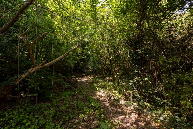 Ladhru, 49a Ardamine Court, Ardamine, Co. Wexford