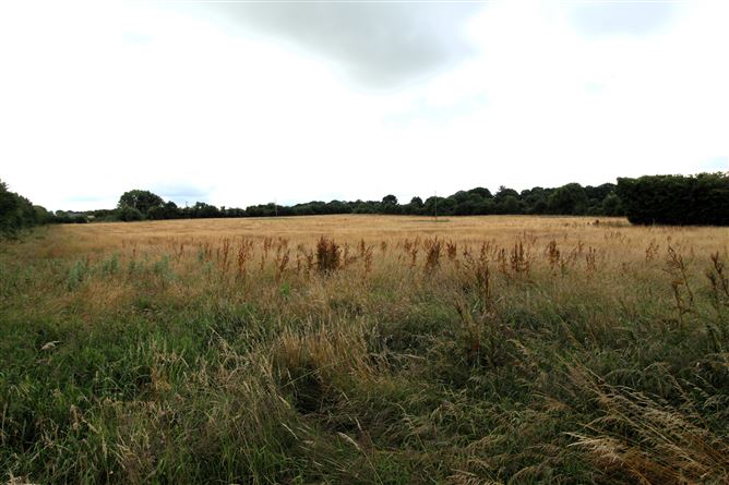 Lismacrory, Ballingarry, Roscrea, Co. Tipperary