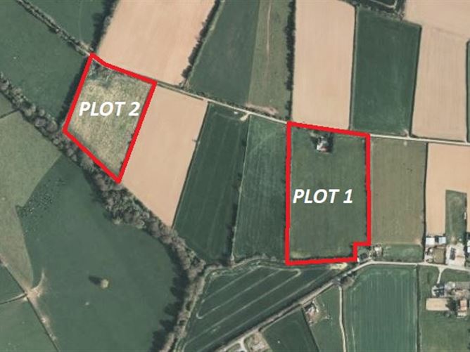 Lismacrory, Ballingarry, Roscrea, Co. Tipperary