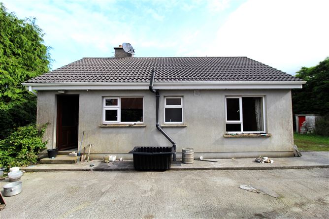Lismacrory, Ballingarry, Roscrea, Co. Tipperary