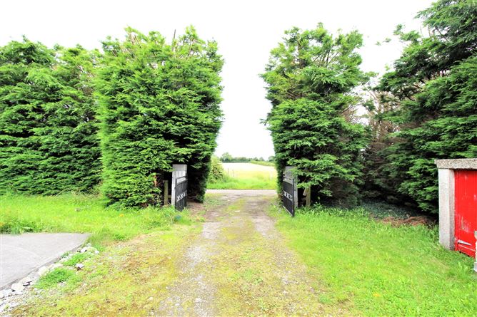 Lismacrory, Ballingarry, Roscrea, Co. Tipperary
