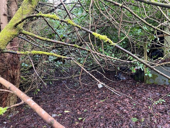 Stonepark, Ballinlough, Roscommon