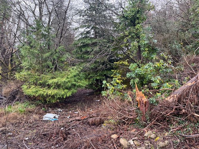 Stonepark, Ballinlough, Roscommon