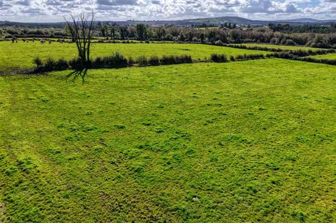 Annaghdaniel, Aughnacliffe, Co. Longford