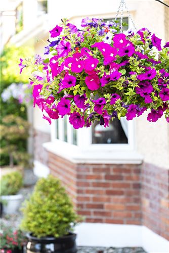 Enniscrone, Dublin Road, Drogheda, Co. Louth