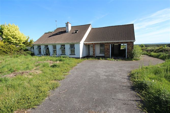 Clonmore, Cappincur, Tullamore, Co. Offaly