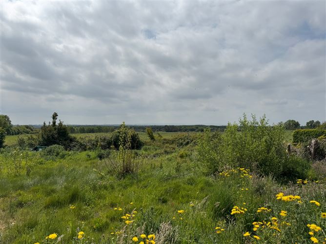 Clonmore, Cappincur, Tullamore, Co. Offaly
