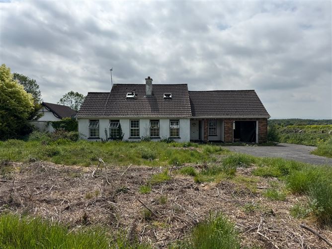 Clonmore, Cappincur, Tullamore, Co. Offaly