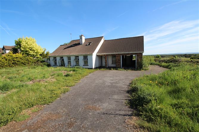 Clonmore, Cappincur, Tullamore, Co. Offaly