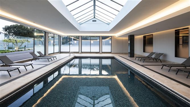 The Athlete's Prime,Sermonde,Porto,Portugal