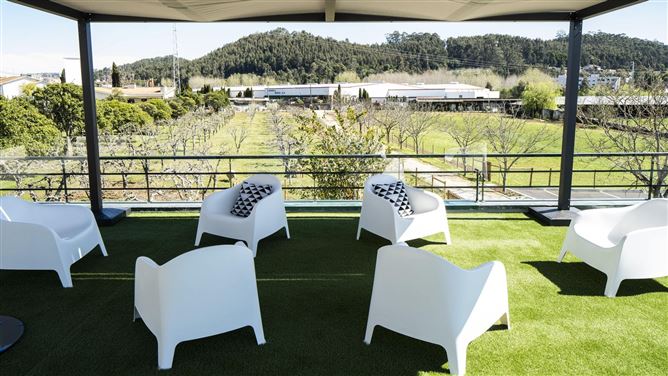 The Athlete's Prime,Sermonde,Porto,Portugal