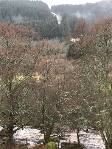 Cottage On c. 16.5 Acres / 6.77 HA., Glenmacness, Laragh, Wicklow