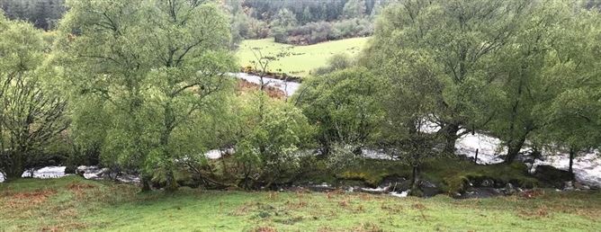 Cottage On c. 16.5 Acres / 6.77 HA., Glenmacness, Laragh, Wicklow