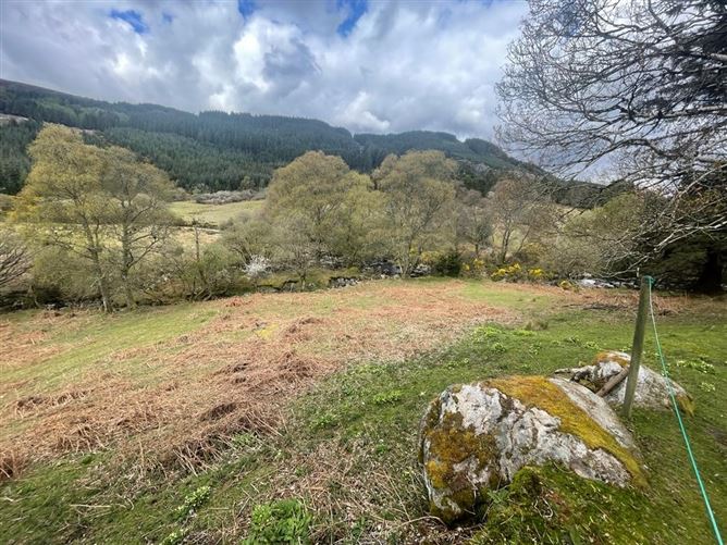 Cottage On c. 16.5 Acres / 6.77 HA., Glenmacness, Laragh, Wicklow