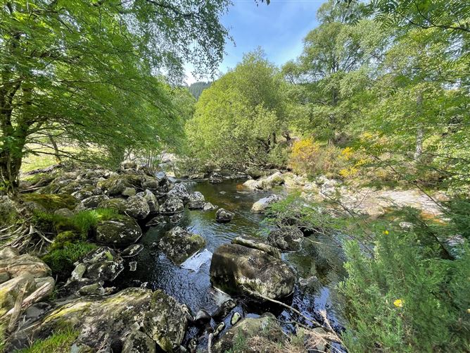 Cottage On c. 16.5 Acres / 6.77 HA., Glenmacness, Laragh, Wicklow