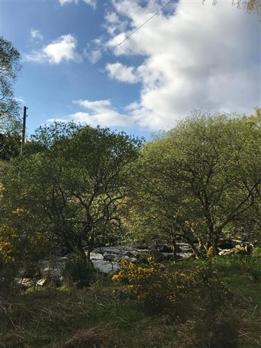 Cottage On c. 16.5 Acres / 6.77 HA., Glenmacness, Laragh, Wicklow