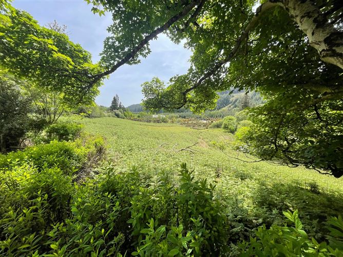 Cottage On c. 16.5 Acres / 6.77 HA., Glenmacness, Laragh, Wicklow