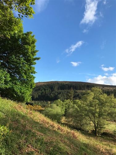 Cottage On c. 16.5 Acres / 6.77 HA., Glenmacness, Laragh, Wicklow