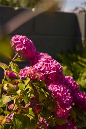 77 Slievemore Road, Drimnagh, Dublin 12, County Dublin