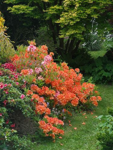 15 Grange Lawn, Waterford City, Waterford