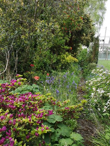 15 Grange Lawn, Waterford City, Waterford