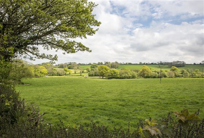 The Rambler's Retreat,Corscombe, Dorset, United Kingdom
