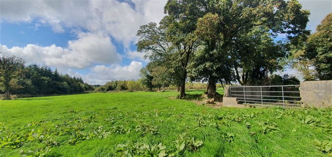 Barnagarrane, Dromcolliher, County Limerick
