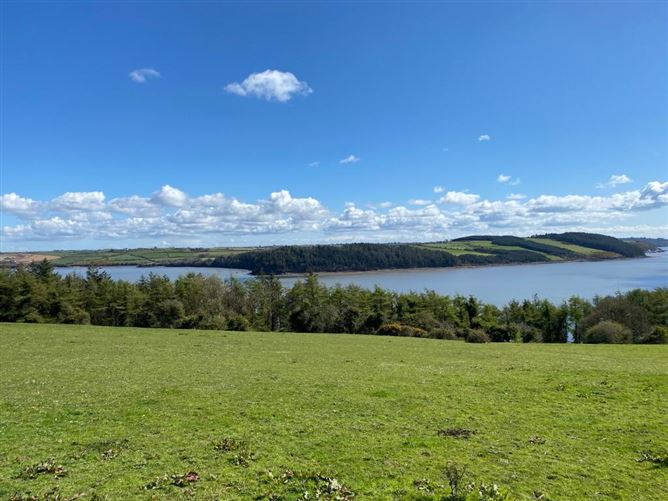 C. 2 Acres At Coolbunnia, Cheekpoint, Waterford