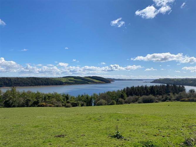 C. 2 Acres At Coolbunnia, Cheekpoint, Waterford