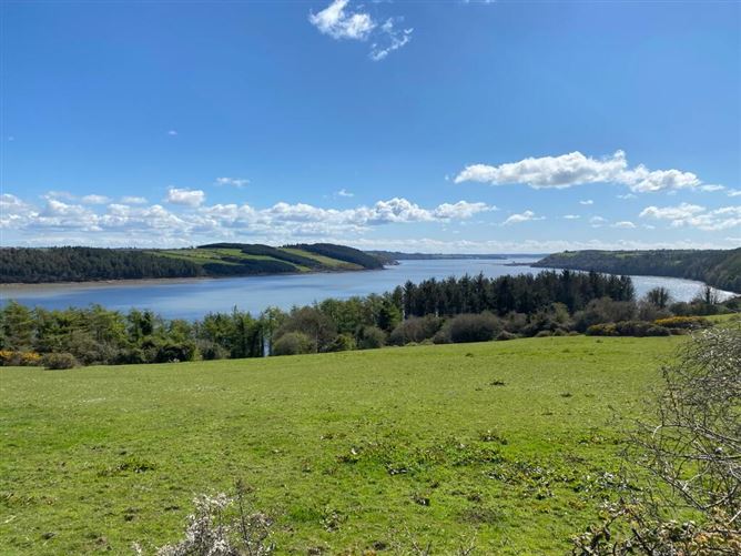 C. 2 Acres At Coolbunnia, Cheekpoint, Waterford
