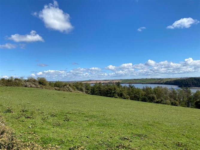 C. 2 Acres At Coolbunnia, Cheekpoint, Waterford