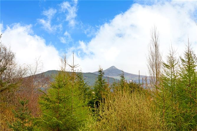 Aurora, Glencree, Enniskerry, Co. Wicklow