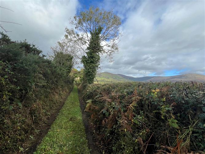 Rosdellig, Borris, County Carlow