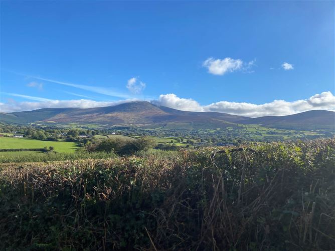 Rosdellig, Borris, County Carlow