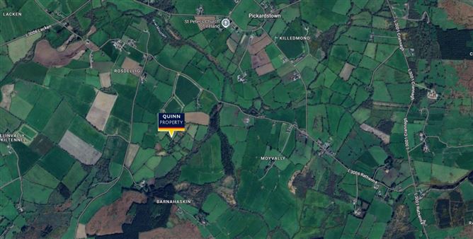 Rosdellig, Borris, County Carlow