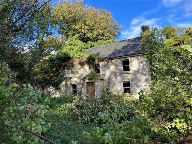 Rosdellig, Borris, County Carlow