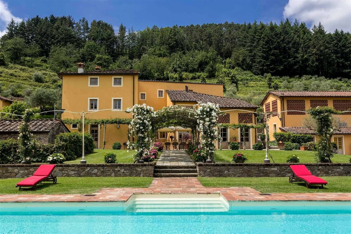 Orchard & Olive,Lucca,Tuscany,Italy