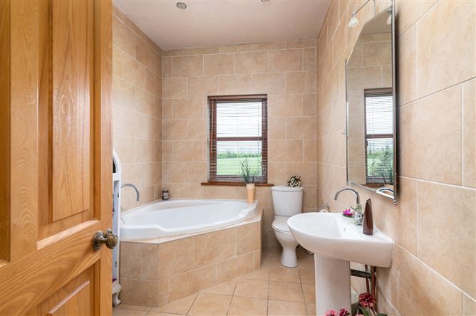 Ballynamona, Durrow, Tullamore, Co. Offaly