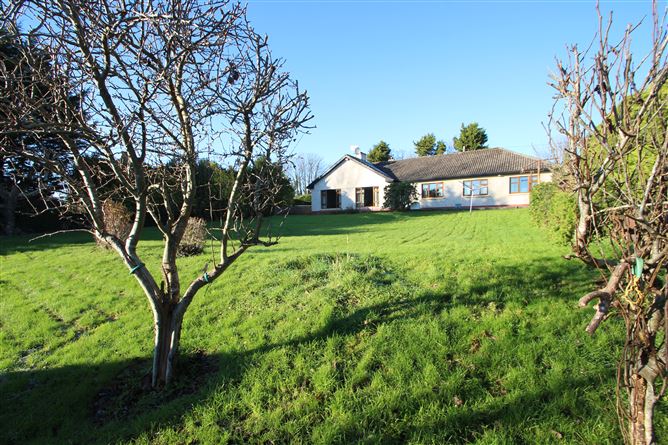 Saint John's Well, Ballinrea Road, Carrigaline, Cork