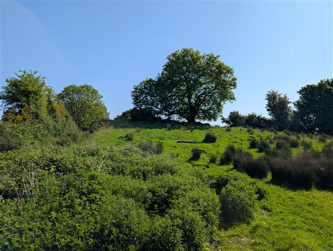 Derrynagower, Claremorris, Co. Mayo