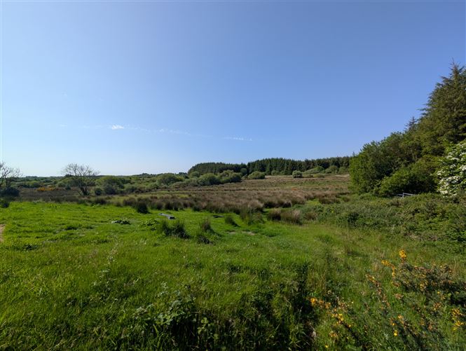 Photo 6 of 21 — Derrynagower, Claremorris, Co. Mayo