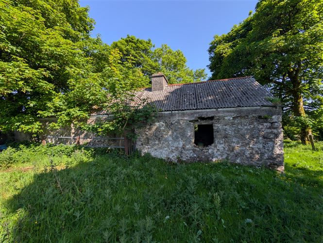 Photo 10 of 21 — Derrynagower, Claremorris, Co. Mayo