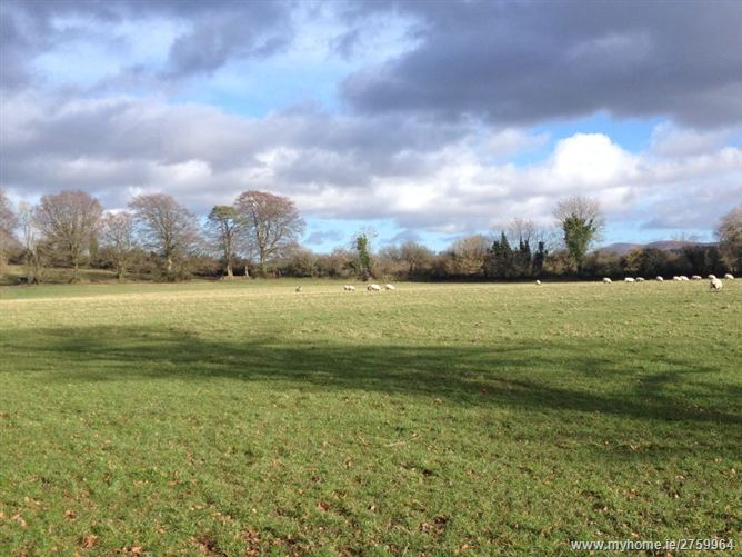 31 Acres, Ardenode, Ballymore Eustace, Kildare