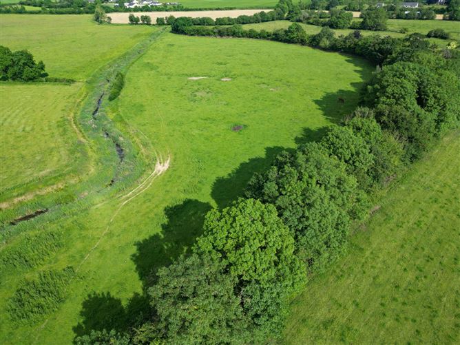 Woodville House On C. 38 Acres, Woodville, Templemore, Co. Tipperary