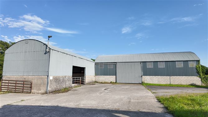 Woodville House On C. 38 Acres, Woodville, Templemore, Co. Tipperary