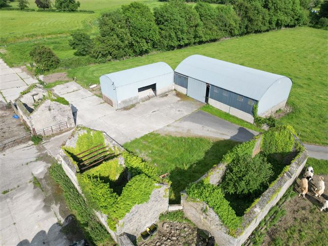 Woodville House On C. 38 Acres, Woodville, Templemore, Co. Tipperary